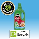 Miracle-Gro Rose & Shrub Concentrated Liquid Plant Food 1 Litre view 7