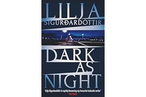 Dark as Night (An Arora Investigation Book 4)