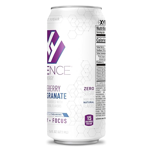 XYIENCE BLUEBERRY POMEGRANATE ENERGY DRINK, 16 FL OZ CAN (PACK OF 12)