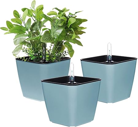 windowsill planta decorativa