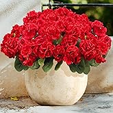 UOROMI 6 Bundles Artificial Geranium Flowers for Outdoors Silk Geranium Flowers Outdoor UV Resistant Garden Plants Faux Flower for Outdoor Garden Home Kitchen Table Centerpieces Decor