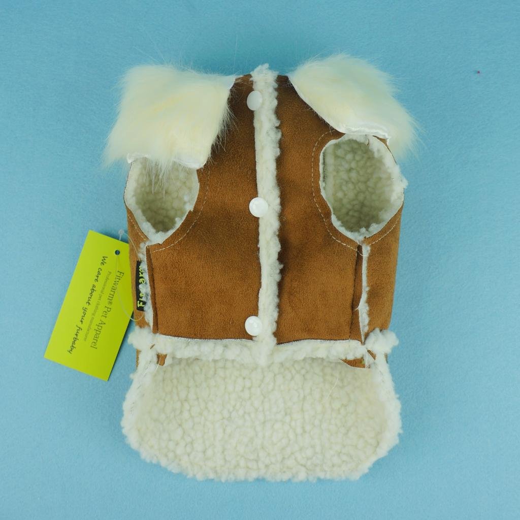 Let’s Check The Best Dog Jackets 2020! Nolonger Wild