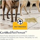 BISSELL SpotClean Pet Carpet Cleaner ProHeat 330W 1.3m hose view 8