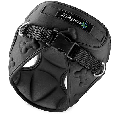 Easy to Put on and Take Off Small Dog Harnesses