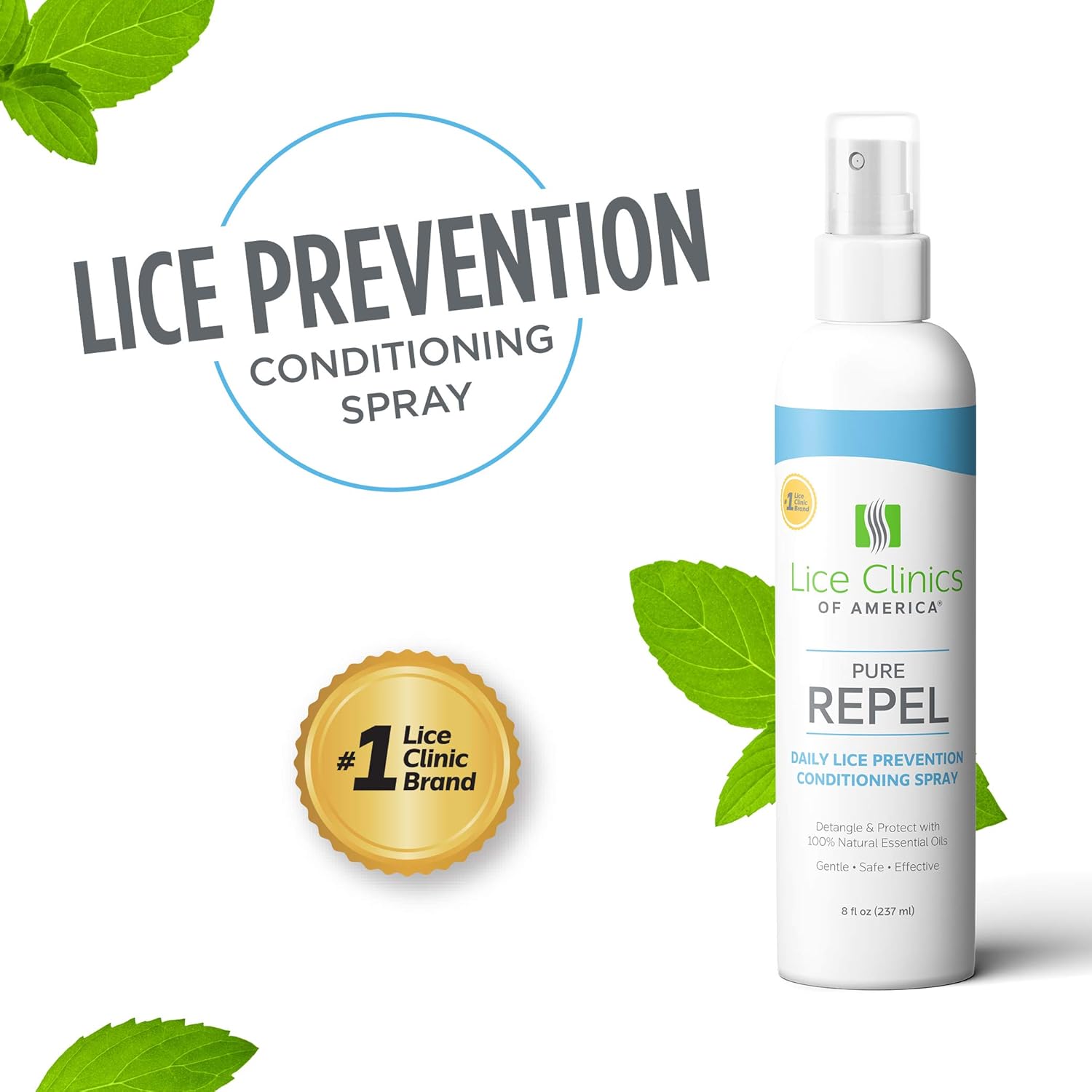 Best Lice Treatment For Carpet