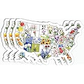 3Pcs Us State Map Flowers Sticker - Flower Lover - Travel - Funny - Sticker for Water Bottle - Mug - Laptop - Notebook - Luggage
