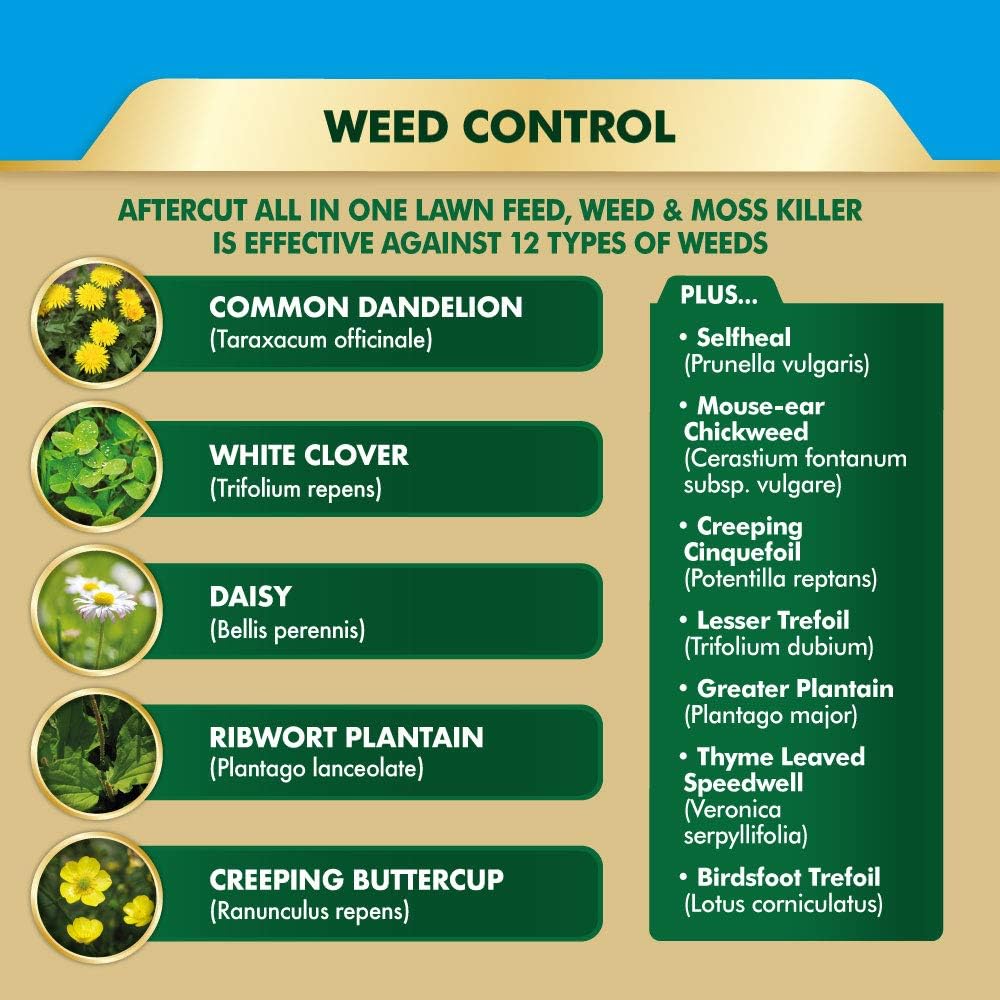 Aftercut 20400473 All In One Lawn Feed, Weed and Moss Killer, 170 m2, 5.25 kg, Natural, 170 sq m - Image 4