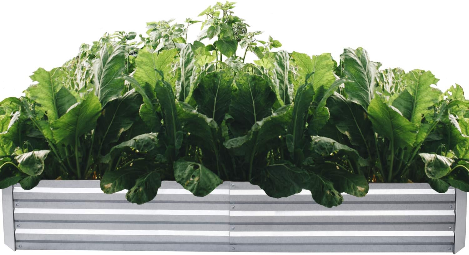 ONCEMORE Galvanized Raised Garden Beds Metal Planter Box Steel Large Vegetable Flower Bed Kit Garden Box (Galvanized 72x36x11.8 INCH)