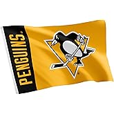 Desert Cactus Pittsburgh Penguins Flag NHL 100% Polyester Indoor Outdoor 3x5 feet National Hockey League Team Flags (Name Flag)