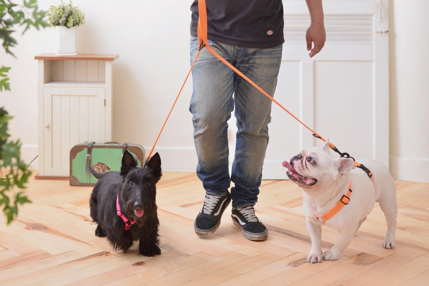 cross body dog leash
