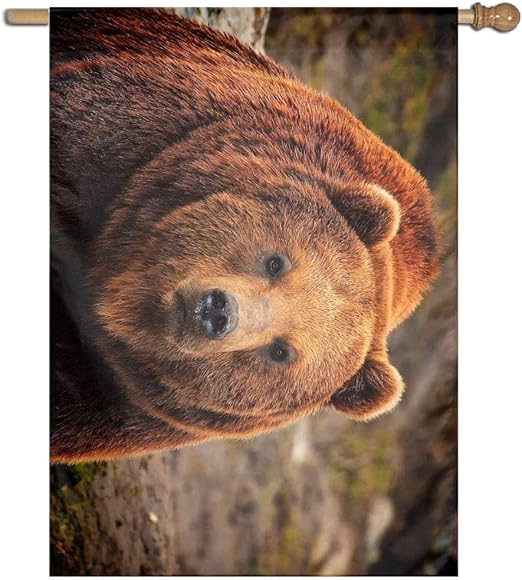 Amazon Com Brown Bear Face Home Garden Sign Decorated As Indoor