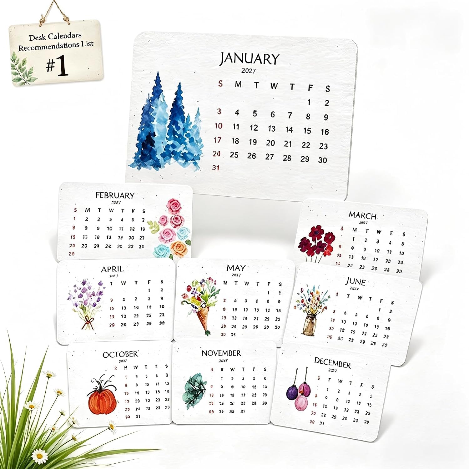 Plantable Seed Calendar 2027,12 Months Wildflower Calendar with Stand | with Stand, Eco-Friendly Biodegradable Herb & Fruit S