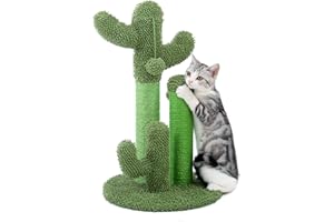 PAWZ Road Cactus Cat Scratching Post with Natural Sisal Ropes, Interactive Ball, Cat Scratcher for Cats and Kittens Green