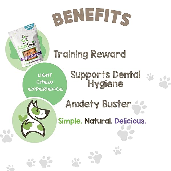 NATURE GNAWS SWEET POTATO CHIPS FOR DOGS – SINGLE INGREDIENT NATURAL DOG CHEW TREATS – 12 OZ