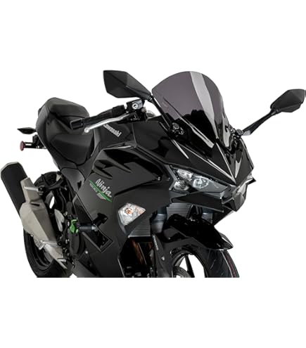 Amazon.com: Puig Z-Racing Screen Kawasaki Ninja H2 SX/SE 22-24