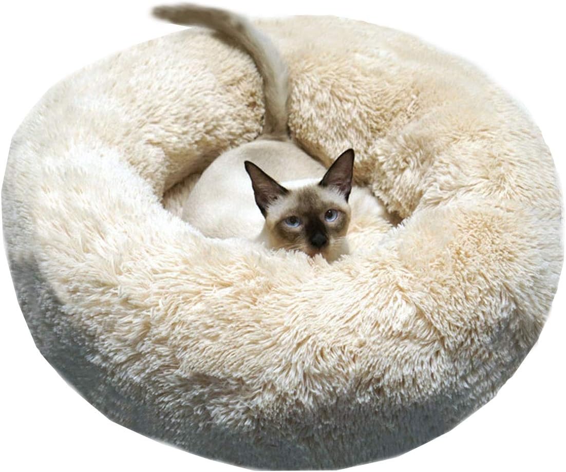 BODISEINT Modern Soft Plush Round Pet Bed for Cats or Small Dogs, Mini Medium Sized Dog Cat Bed Self Warming Autumn Winter Indoor Snooze Sleeping Cozy Kitty Teddy Kennel (M(23.6”Dx7.9 H), Champagne) : Pet Supplies