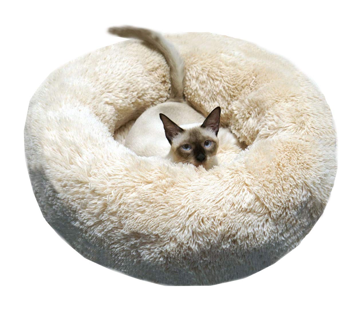 BODISEINT Modern Soft Plush Round Pet Bed for Cats or Small Dogs, Mini Medium Sized Dog Cat Bed Self Warming Autumn Winter Indoor Snooze Sleeping Cozy Kitty Teddy Kennel (M(23.6”Dx7.9 H), Champagne) — image 1