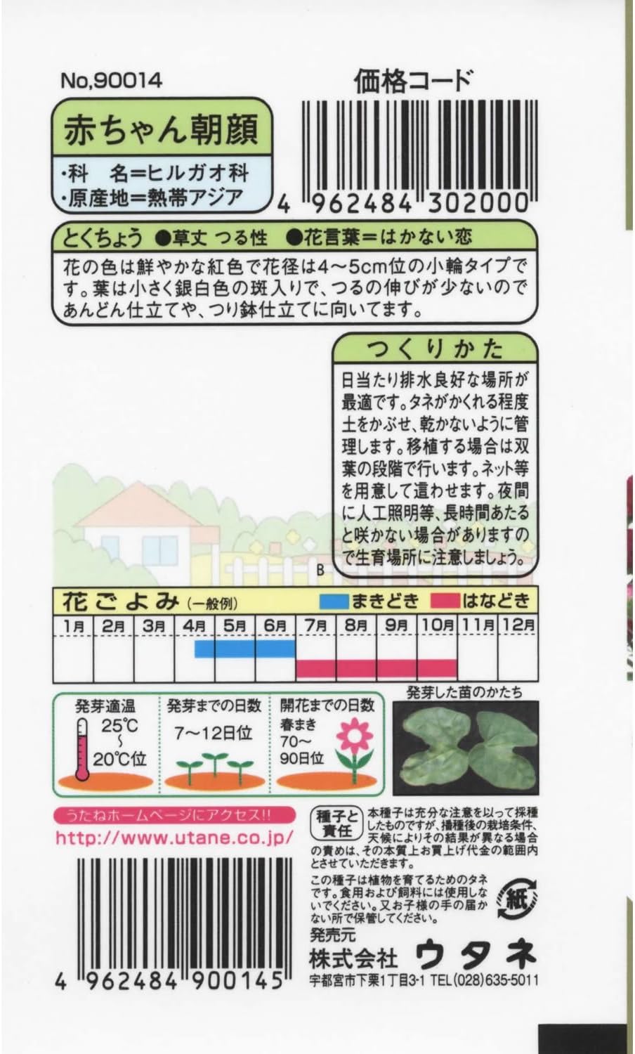 Amazon 赤ちゃん朝顔 朝顔種子 花