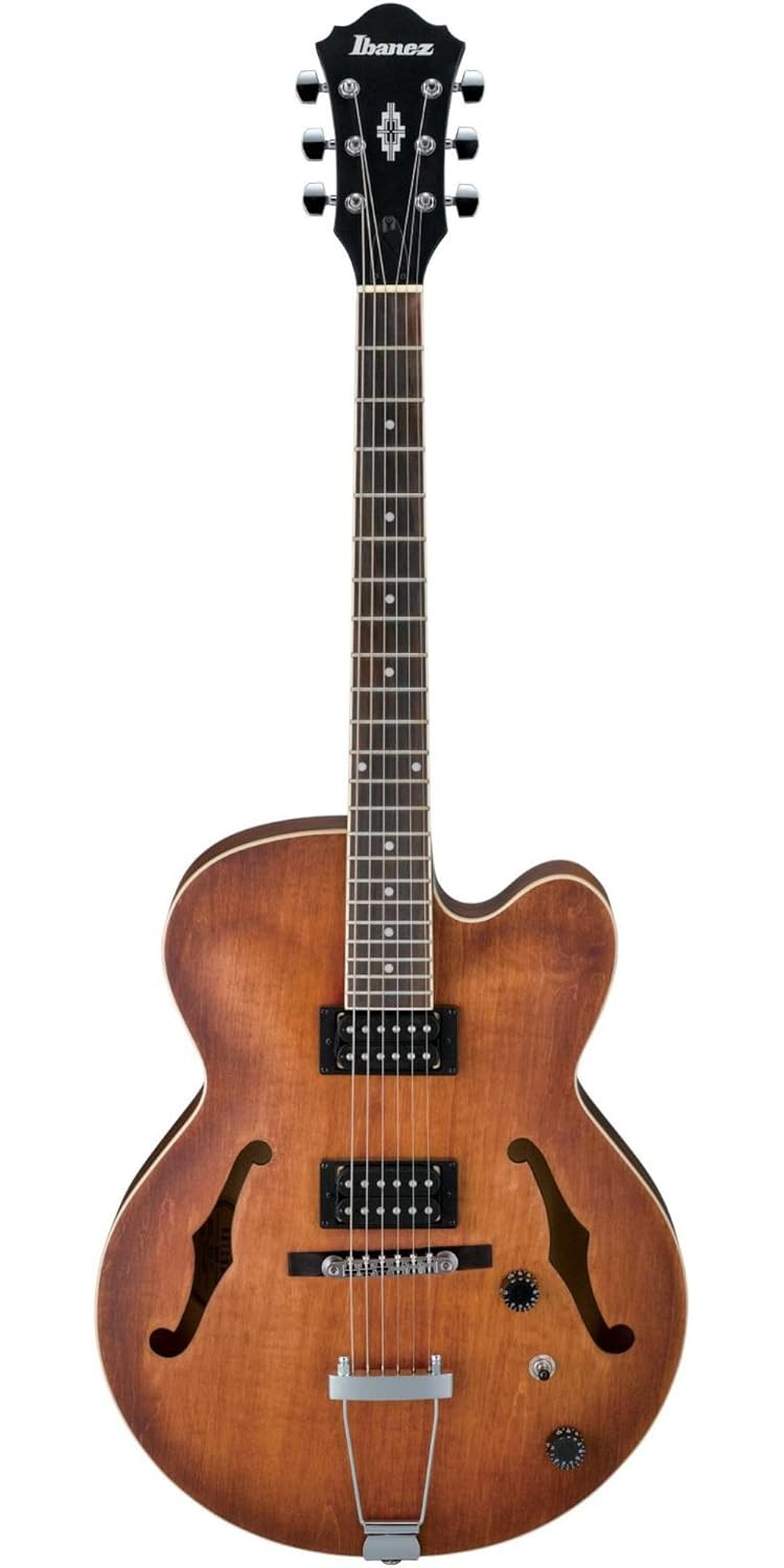 6 Best Jazz Guitar Today for Pros and Amateurs Alike (2022 Review