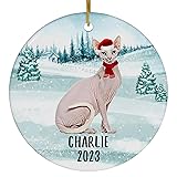 Santa Hat and Scarf Welcome Winter Lavender Sphynx