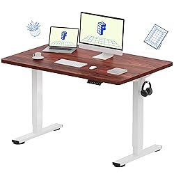 FLEXISPOT EN1 One-Piece Standing Desk 48 x 30 Inch