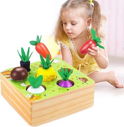 montessori wooden toys 1 year old