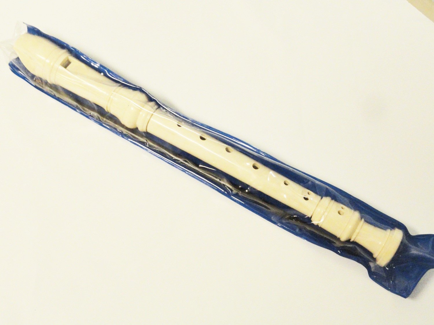 Beginner Student's Novice Practice Flute with Case White eBay