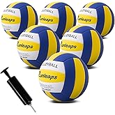 Runleaps 6 Pack Volleyballs, Waterproof Indoor Outdoor Volleyball for Beach Game Gym Training with Pump (Official Size 5)