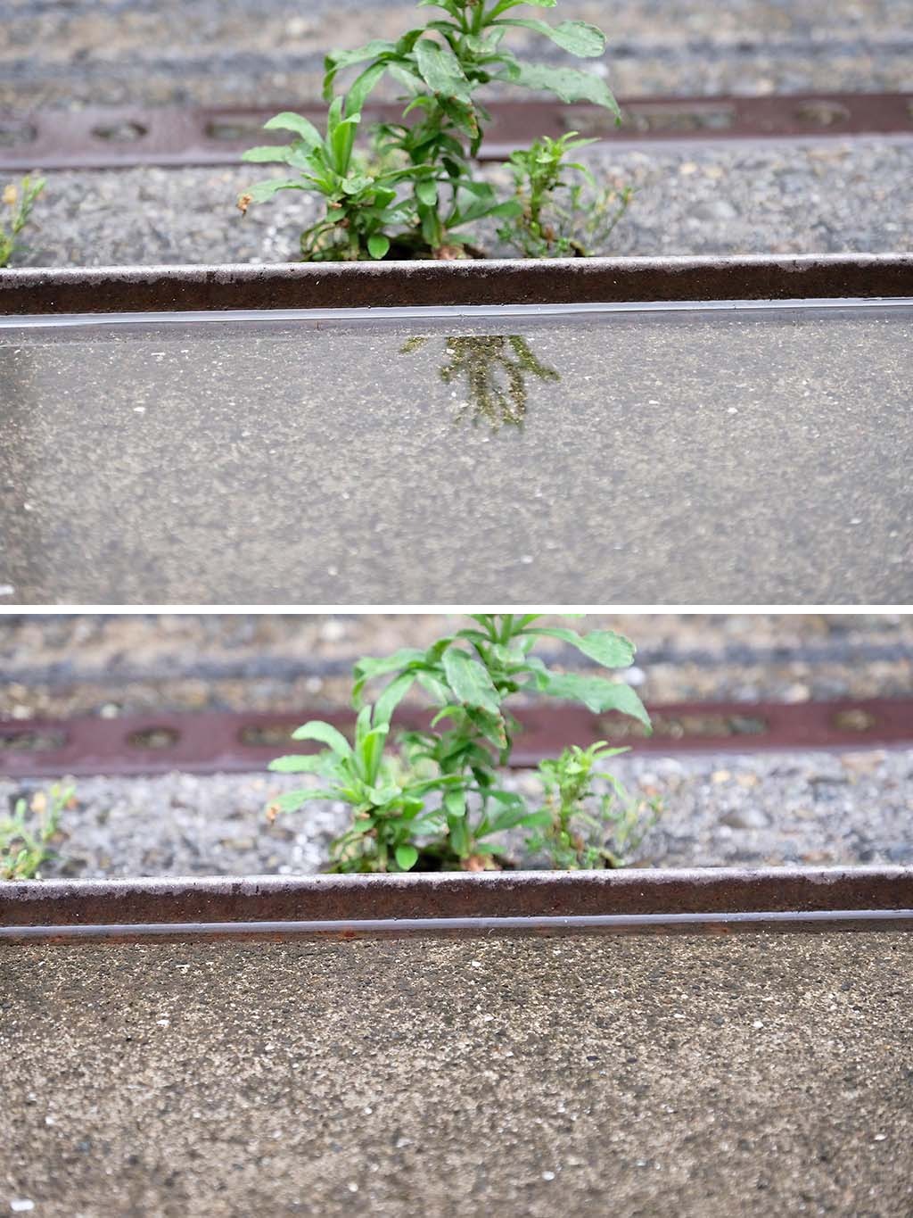 Een helder polarisatiefilter (het werkt goed)