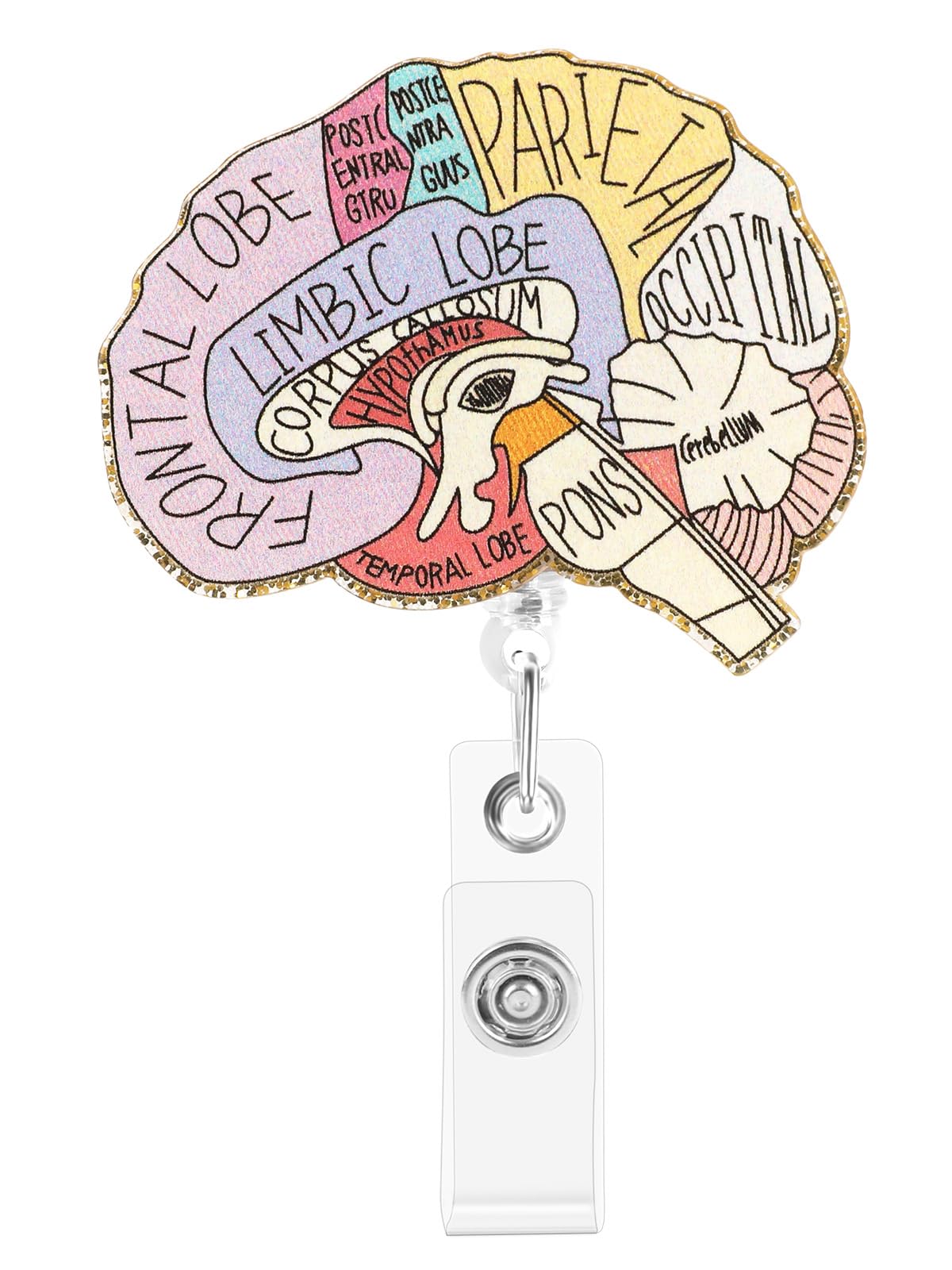 Photo 1 of Retractable Badge Reel, Cute Badge Reels for Nurse Badge Holder with Alligator Clip for Doctor Teacher (Brain)