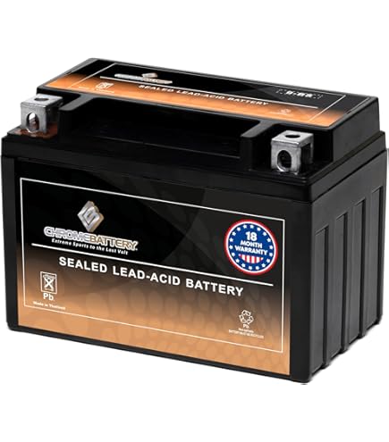 Amazon.com: ZXTDR 12V 16HA HYB16A-AB T-Shaped Battery for