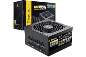 Segotep 750W Power Supply, 80 Plus Gold Full Modular PCIe 5.0 & ATX 3.0 Gaming PSU for NVIDIA RTX 20/30/40 Series & AMD GPU, 120mm Silent FDB Fan, 5 Year Warranty