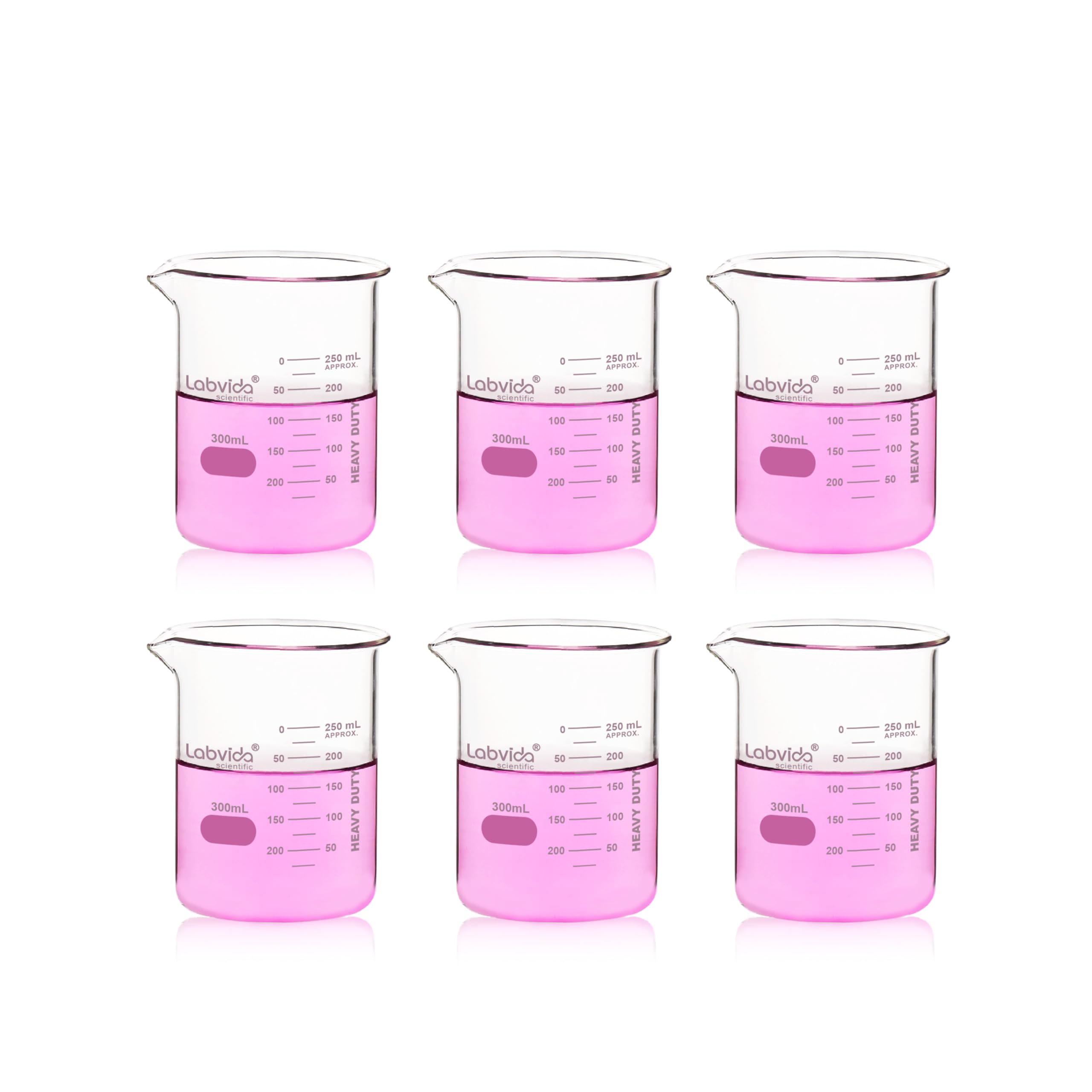 Labvida Low Form Glass Beakers, 6pcs of Vol.300ml, with Printed Graduation,3.3 Borosilicate,LVA021