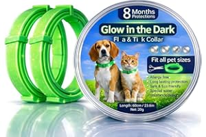 All in 1 Dog & Cat Collar with Glow in The Dark Effect, 64CM Adjustable, 8 Month Collar for All Dogs & Cats Breeds and Sizes 