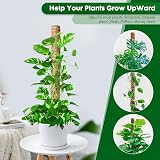 Mactoou Moss Pole 4-Pack 41cm Coir Moss Poles for Monstera Climbing Plants view 4