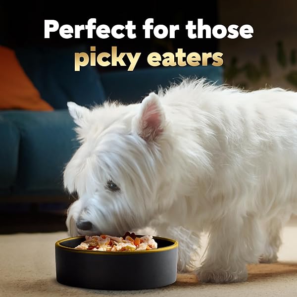 CESAR SIMPLY CRAFTED ADULT WET DOG FOOD MEAL TOPPER, CHICKEN, CARROTS & GREEN BEANS AND BEEF, CHICKEN, PURPLE POTATOES, PEAS & CARROTS VARIETY PACK, 1.3 OZ. (16 COUNT, PACK OF 1)