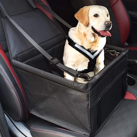 amazon dog car seat belt