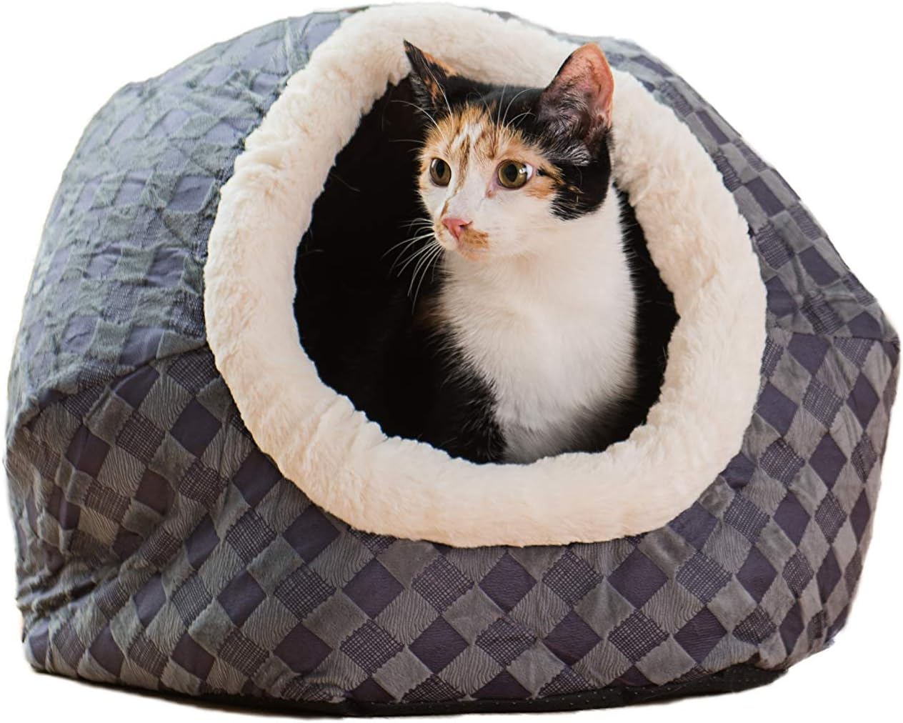 cat bed size