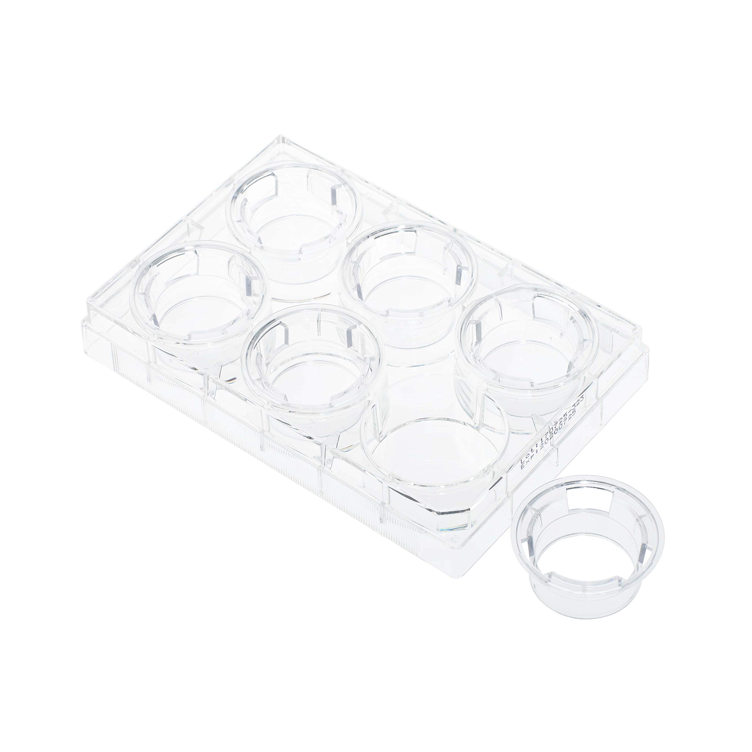 Permeable Cell Culture Inserts, Packed in 6 Well