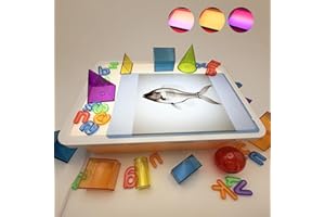 16" LED Light Box for Kids, Sensory Light Table, Portable Dimmable Light Box for Tracing, Alphabet Learning, Magna-Tiles, Dia