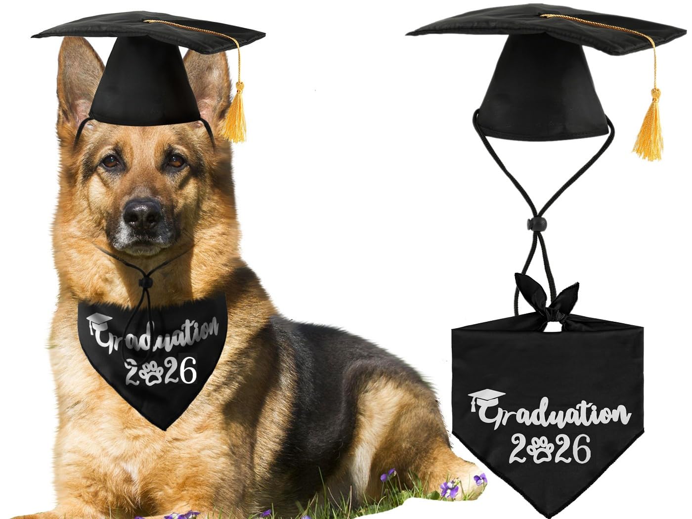 JPB Dog Graduation Cap with Yellow Tassel and Black Pet Graduation 2021 Bandana