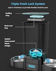 HoneyGuaridan 5L Automatic Cat Feeder for Two
