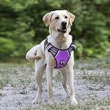 HEELE Dog Harness No Pull Large Reflective Front Back Leash Attachments Purple L view 6
