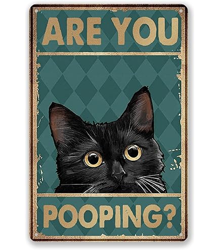 Amazon.com: Funny Black Cat Bathroom Decor - 