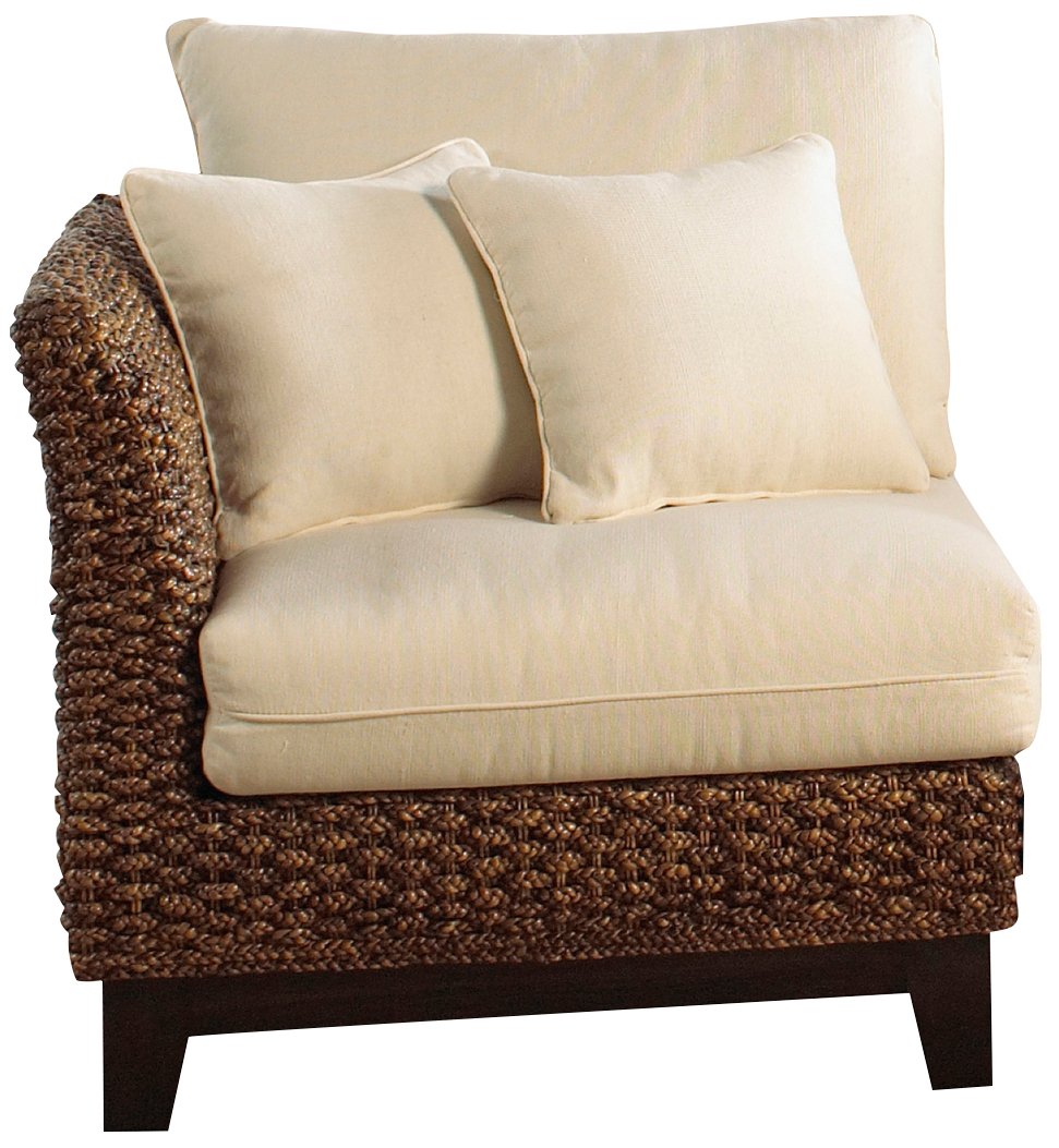 Best Sunbrella Dining Chair Cushions Macaw