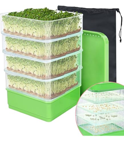 Bac à Germination 2 Couches Pour Microgreens - 33x26x5 Cm, Vert Avec Maille Blanche - Usage Intérieur, Débutants Et Avancés