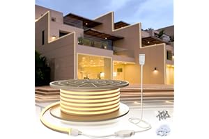 qnnp LED Neon Rope Light 100ft/30m LED Lights Strip AC110-120V Waterproof Cuttable Flexible Neon Strip Lights for Indoor&Outdoor Decoration Kitchen Bedroom Garden Hotel (Power Adapter Included)