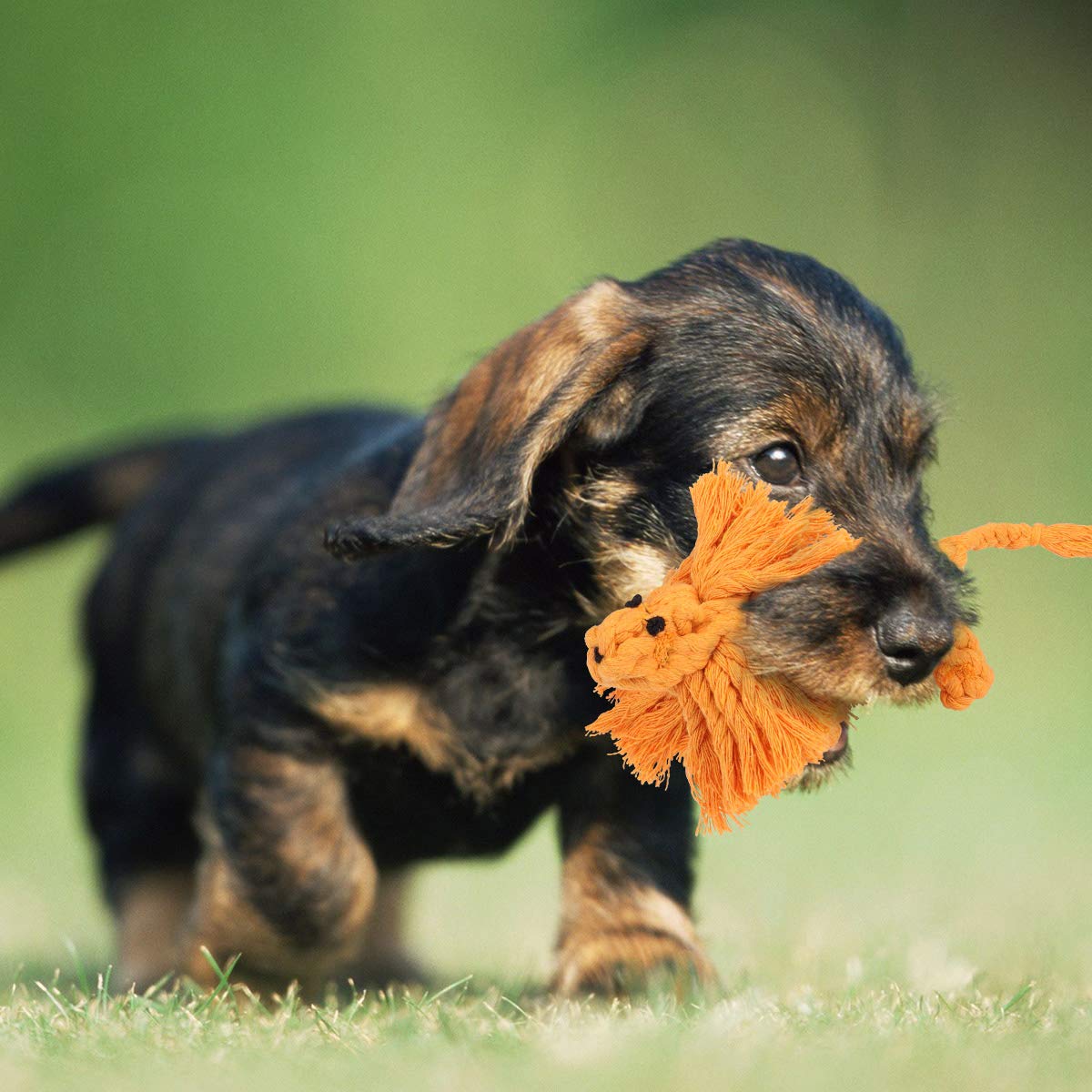 Dog Toys for Aggressive Chewers, Puppy Chew Toys - 100% Natural Cotton Rope Teething Toys - Squeak Toys - Dog Balls - Plush Dog Toy - Tug of War Ball - Toys for Small Pet Dogs 9 Pack Gift Set