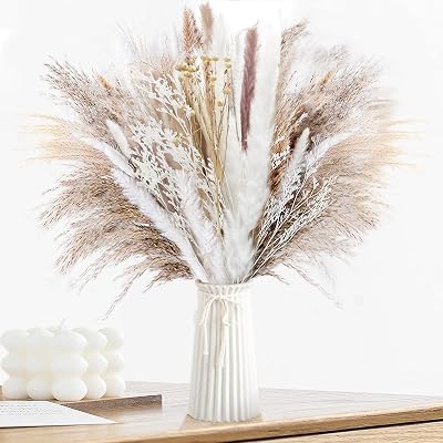 Shakeel Natural Dried Pampas Grass 65Pcs Fluffy Bouquet UK Brand