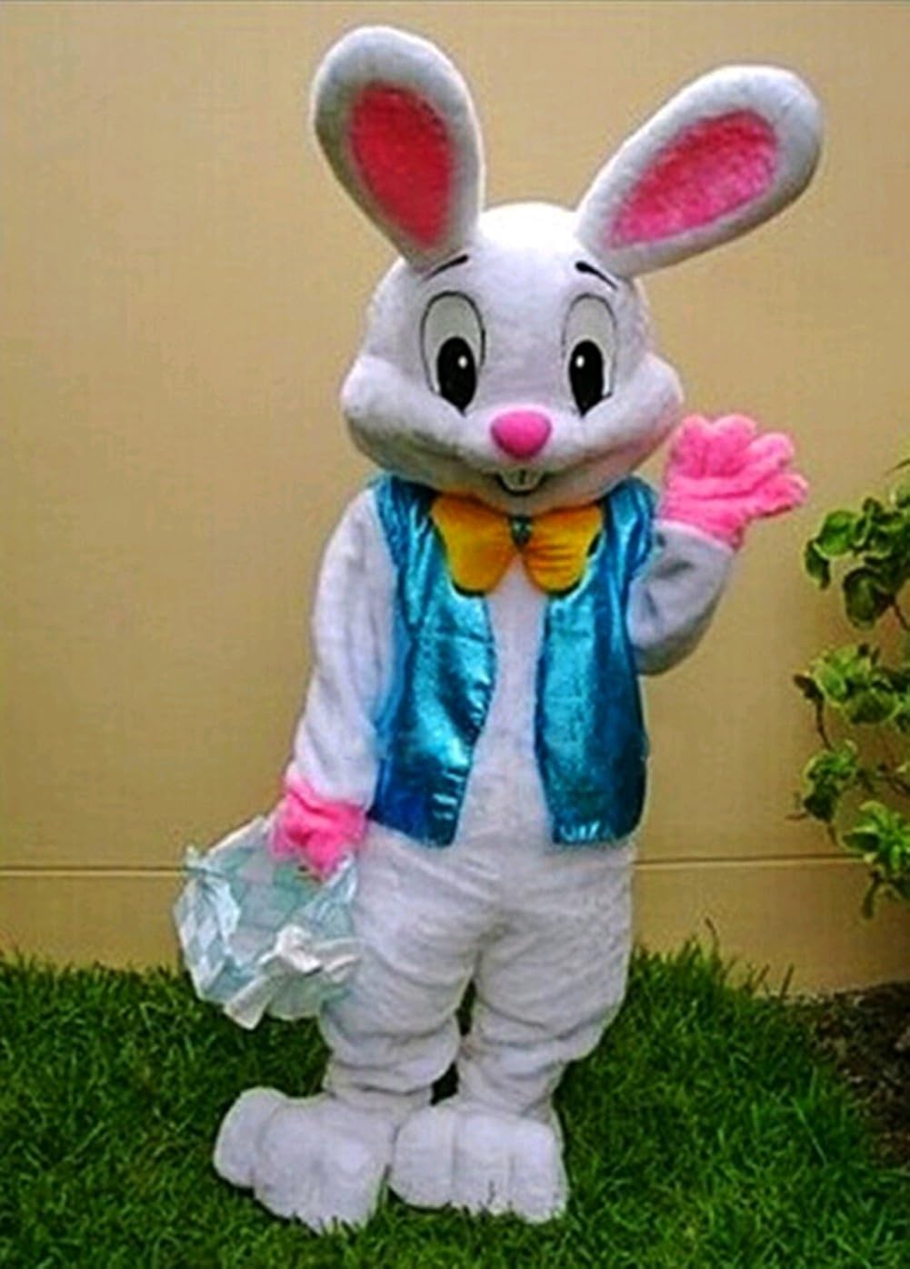 Easter Rabbit Bunny Rabbit Mascot Costume Adult Size Fancy Dress: Clothing